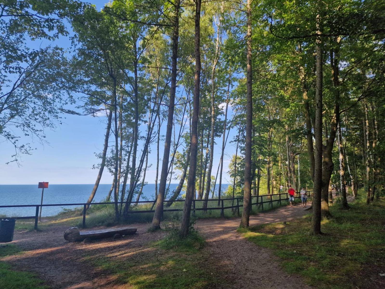 Osrodek Promenada- Domki Jastrzębia Góra Eksteriør billede
