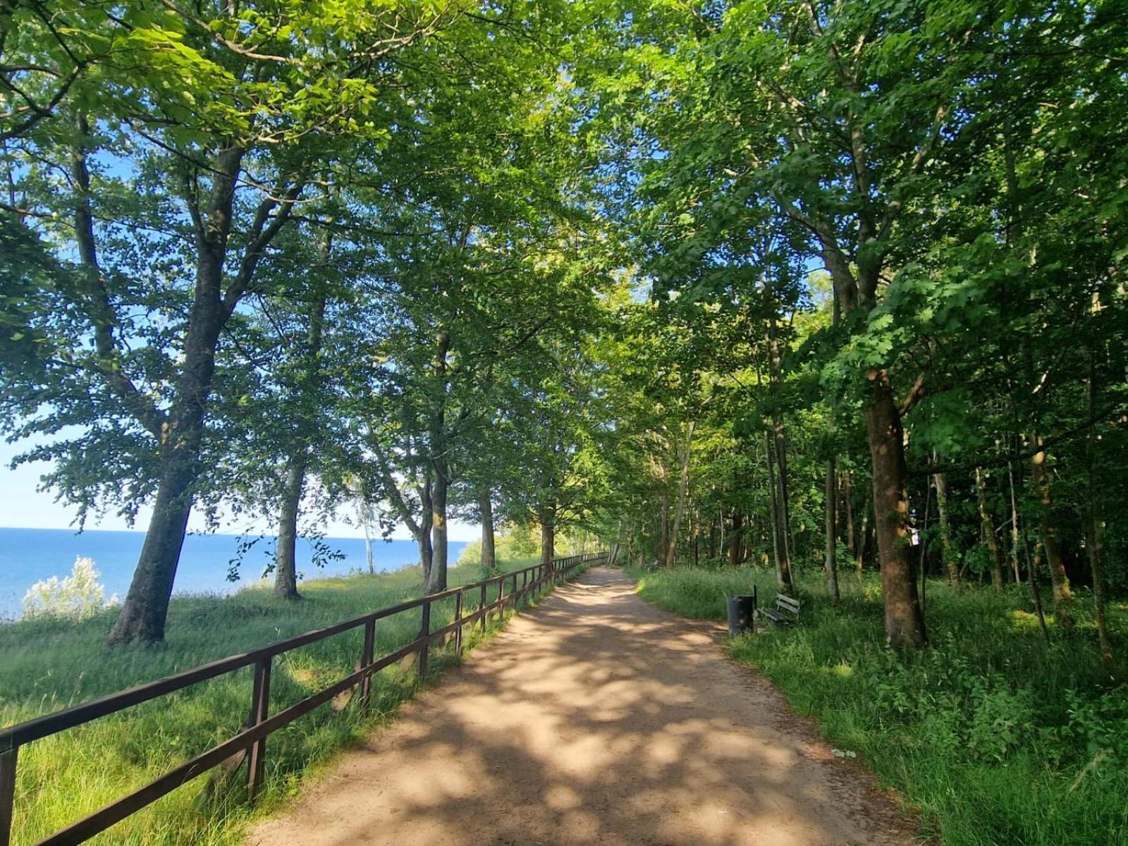 Osrodek Promenada- Domki Jastrzębia Góra Eksteriør billede